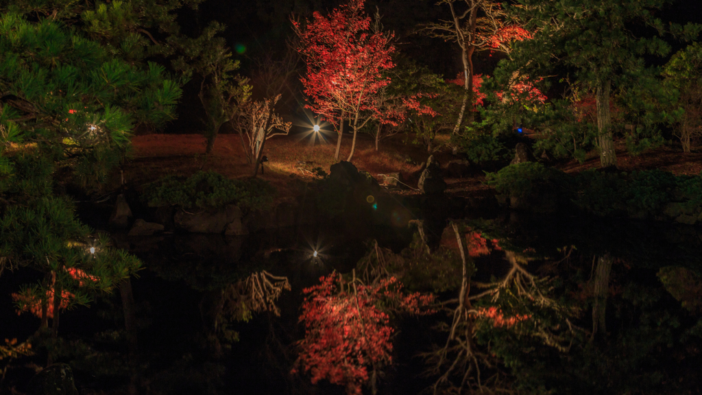 水心苑　夜紅葉