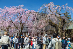 樺細工伝承館前