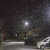 降雪　ISO 25600
