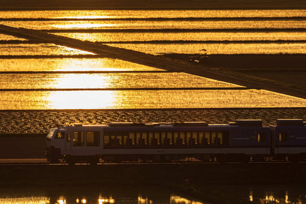 CRUISING TRAIN