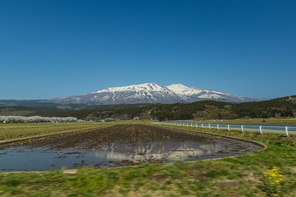 移動中