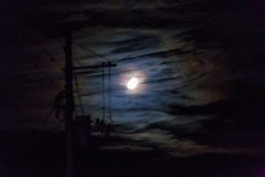 月夜の電信柱