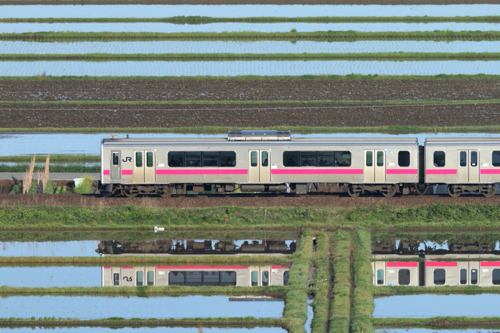 水田列車