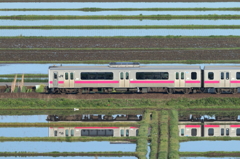 水田列車