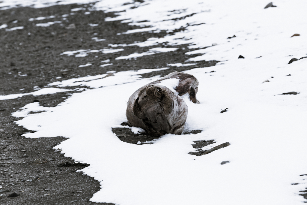 二月の鵜ノ崎　Ⅵ