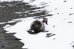 二月の鵜ノ崎　Ⅵ
