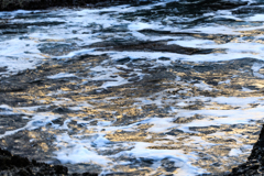 塩瀬崎　金箔の海