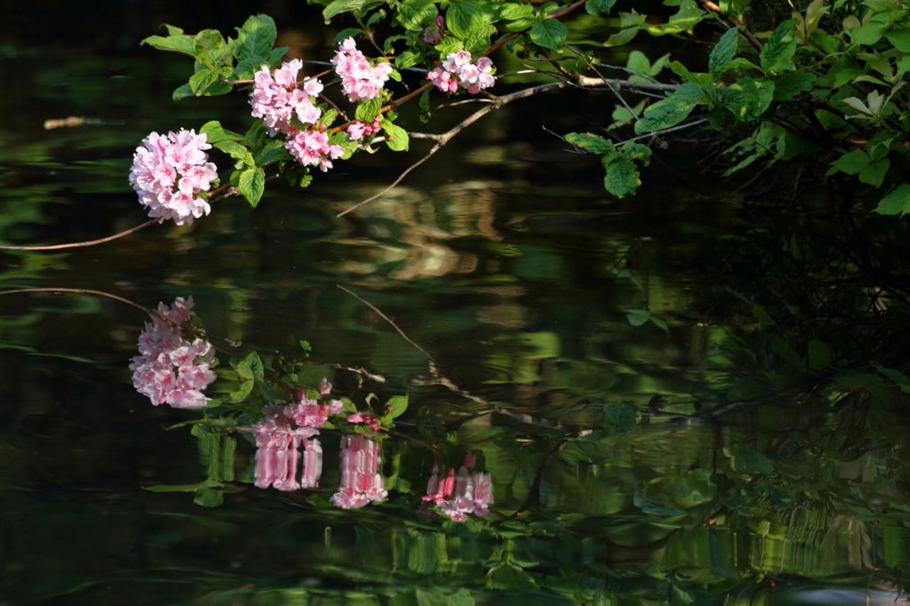 水鏡