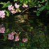 水鏡