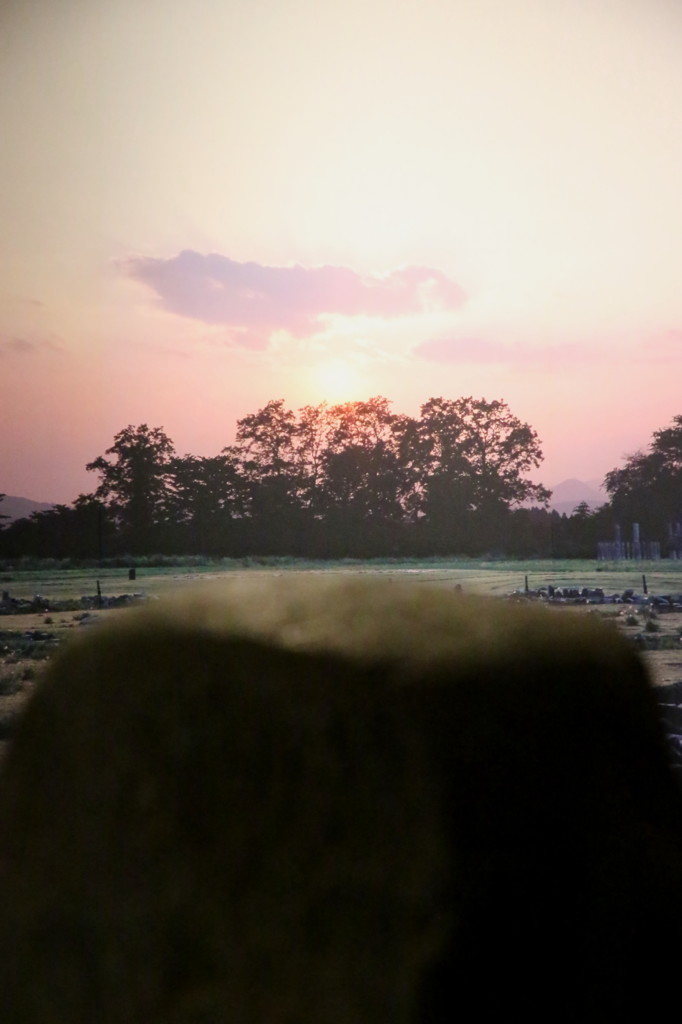 ストーンサークル