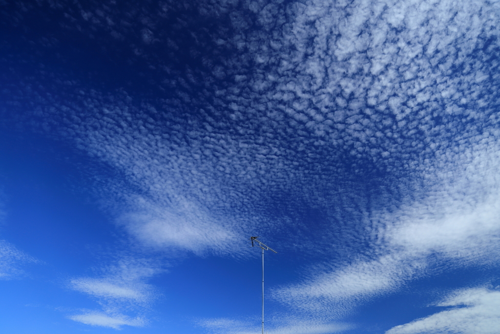 高積雲