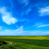 南秋平野の夏　Ⅱ