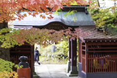 門