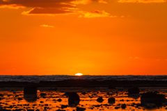 １１月の鵜ノ崎海岸　Ⅵ