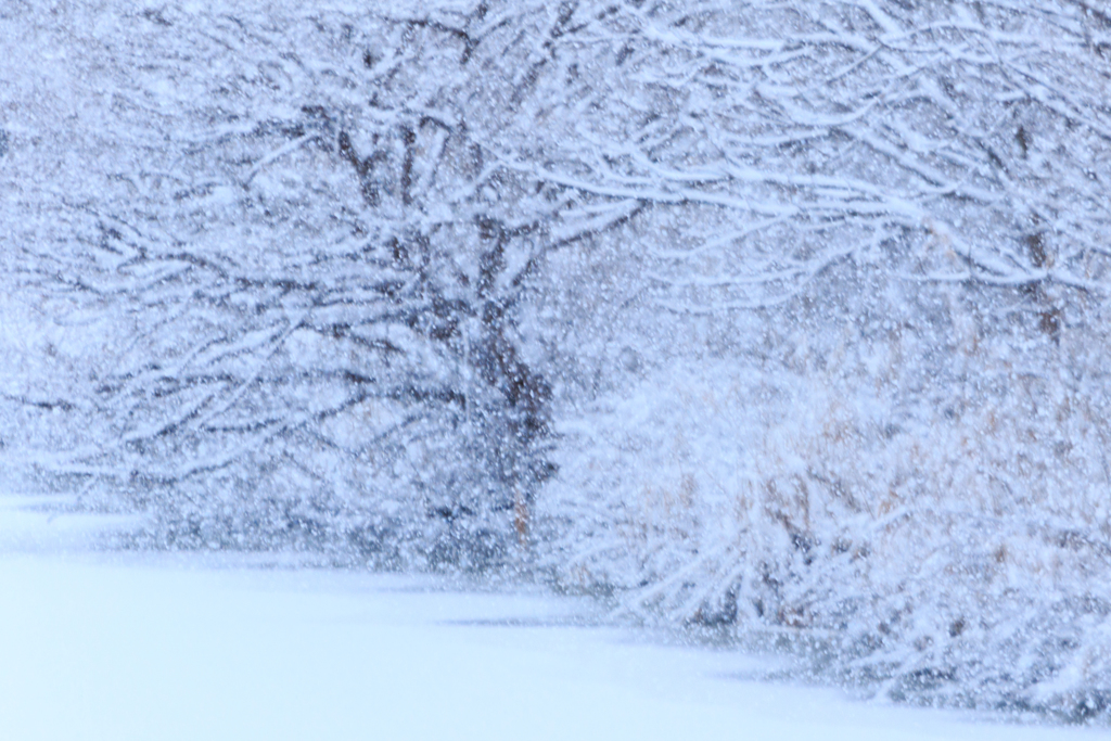 雪降り積む　Ⅰ