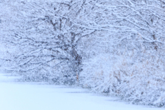 雪降り積む　Ⅰ
