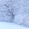 雪降り積む　Ⅰ
