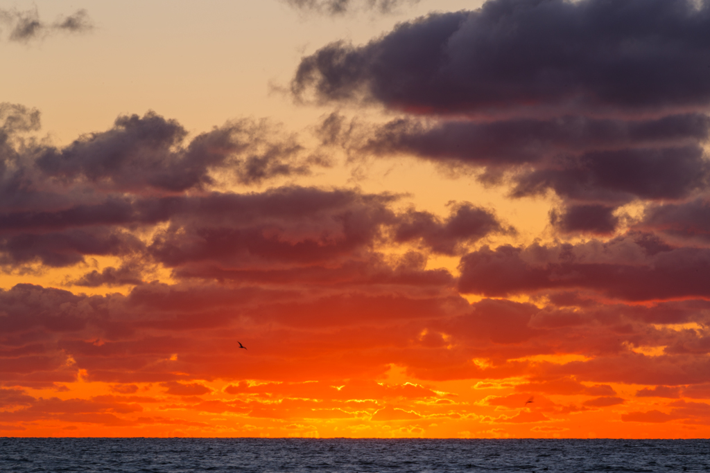 夕雲　Ⅲ