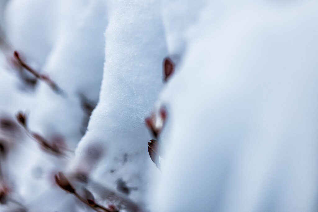 積雪