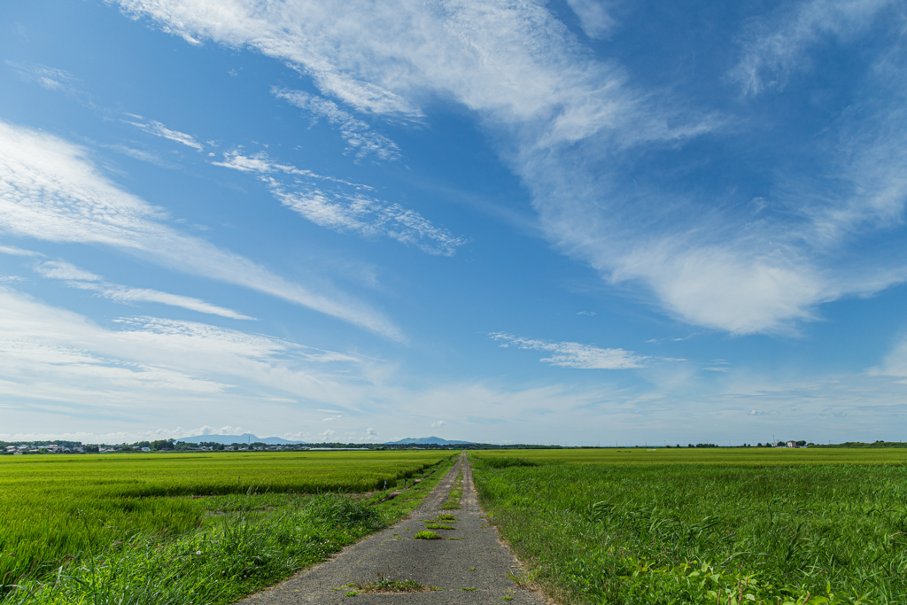夏空