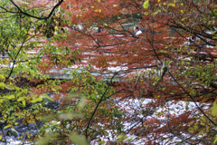 不動橋Ⅱ