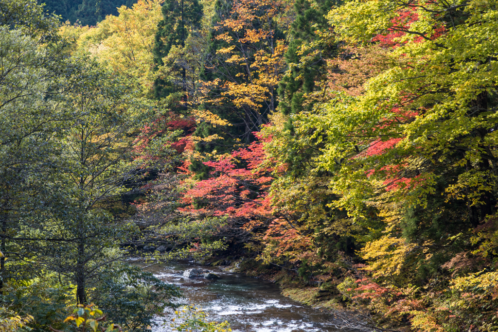 岩瀬川