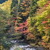 岩瀬川