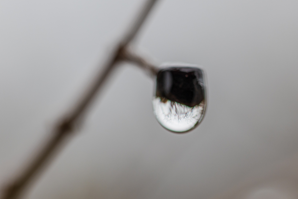 雨滴　Ⅱ