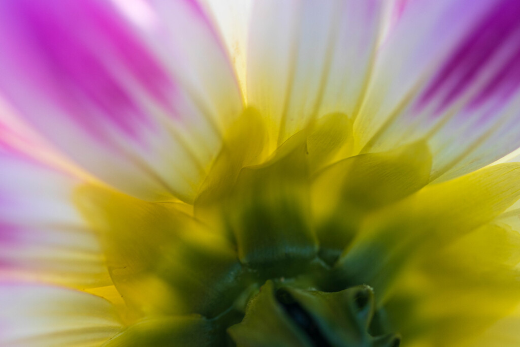 colorful