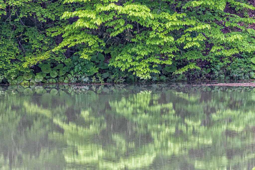 水辺　Ⅱ