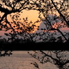 夕景