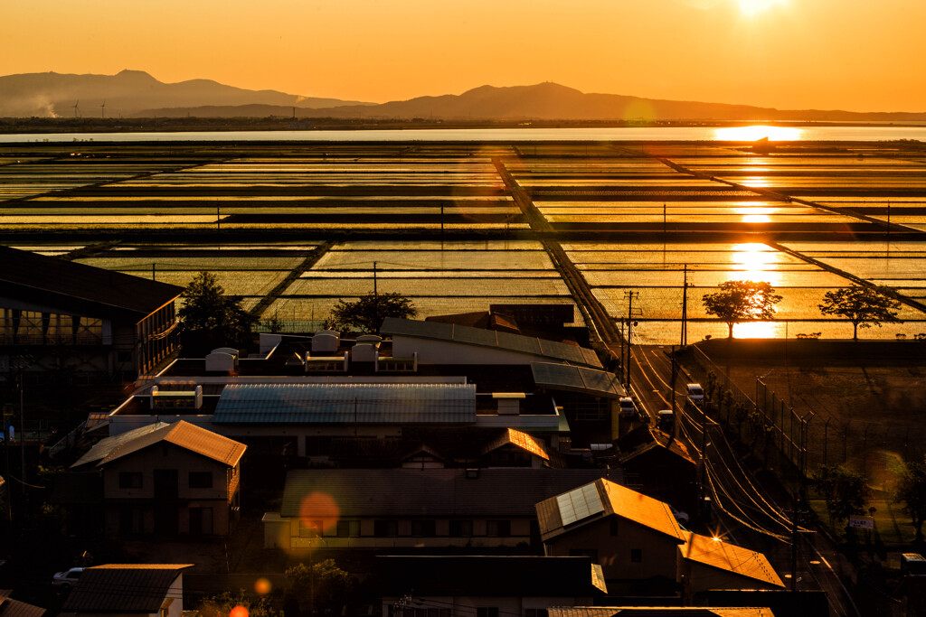 夕景