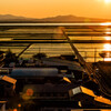 夕景