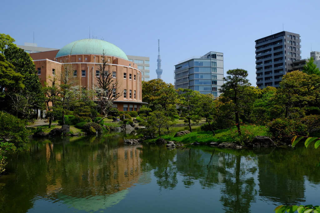 旧安田庭園