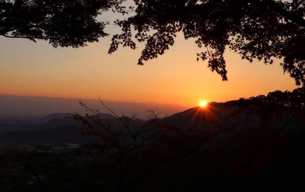 夕日