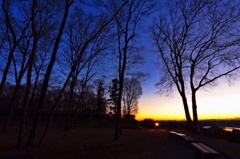 夕日