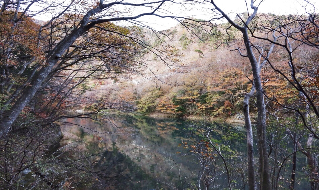 秋色