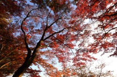 栃木の秋