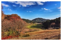 Autumn