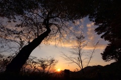 夕焼け