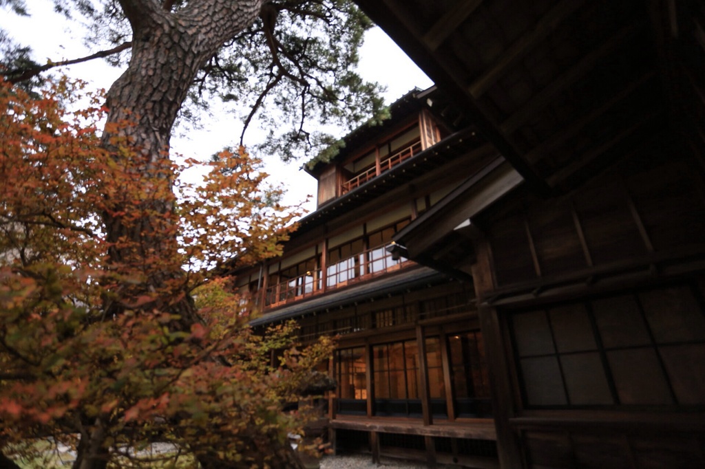 Autumn colors
