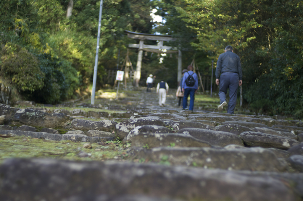 往き道（平泉寺01）