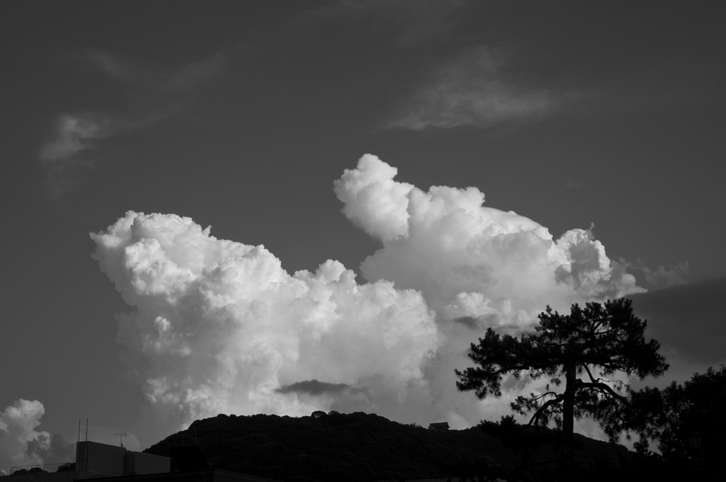 夏空