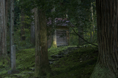 樹々の中に（平泉寺03）