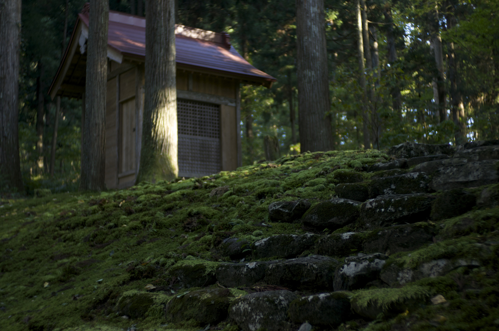 古（いにしえ）からの光（平泉寺04）