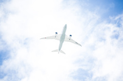 Boeing 787-881　真下から