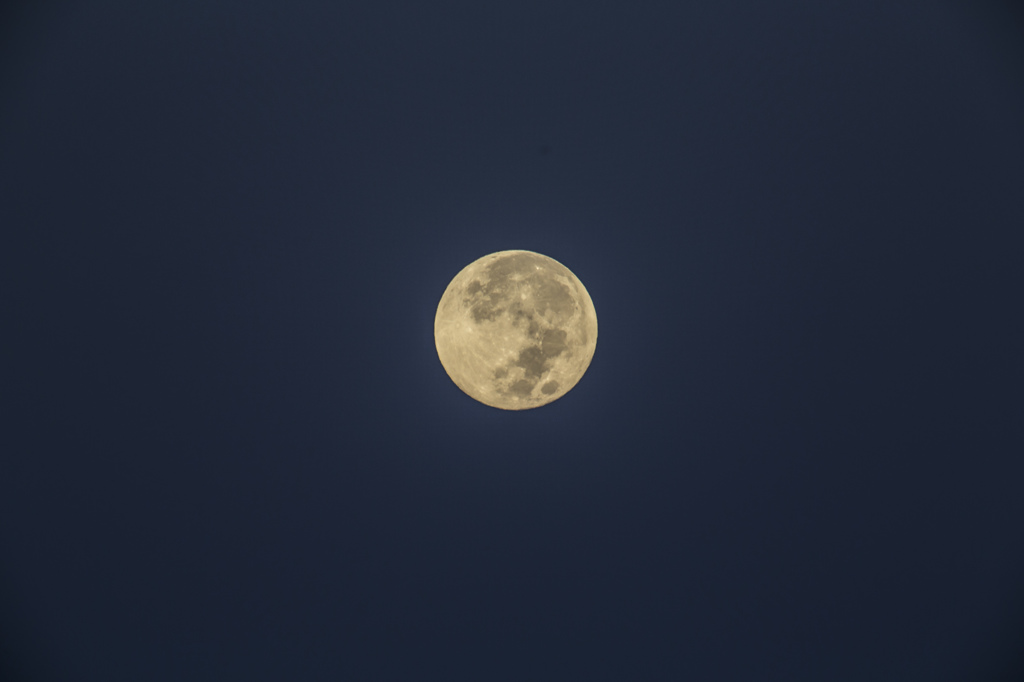 morning of the moon