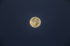 morning of the moon
