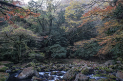 精霊の庭