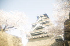 夢の熊本城